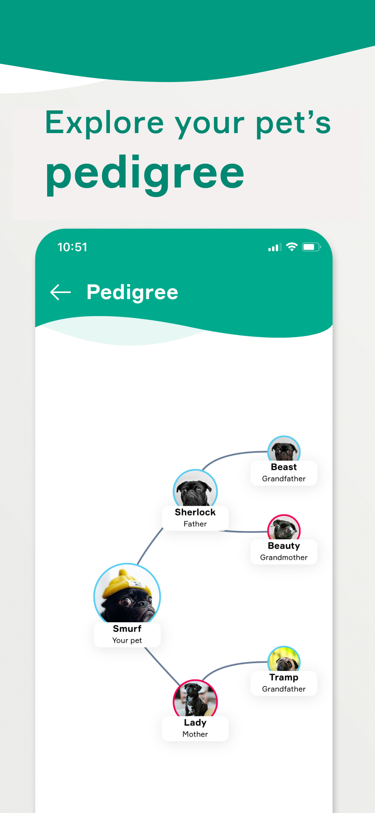 KeepPet gallery image