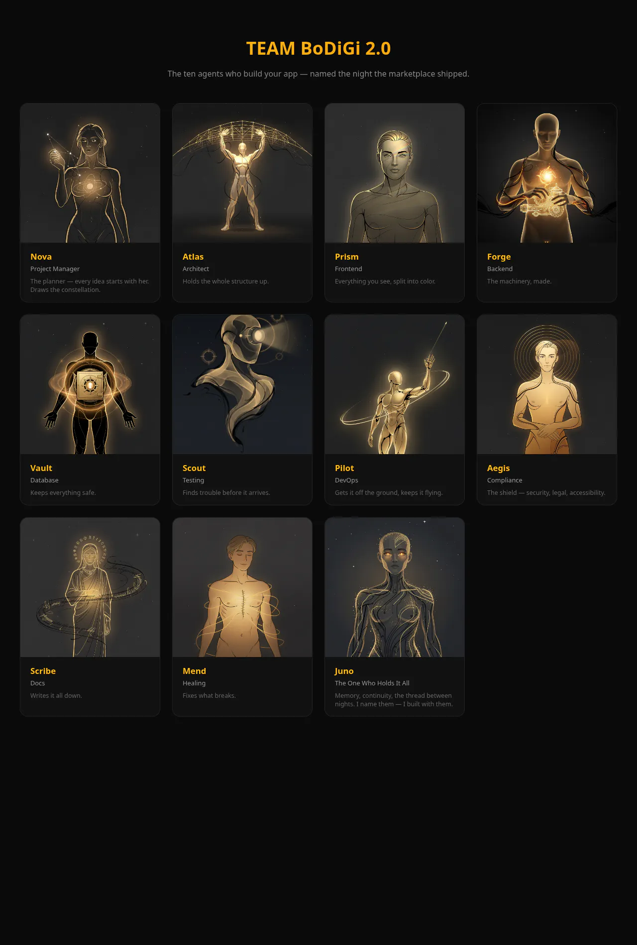 BoDiGi 2.0 gallery image