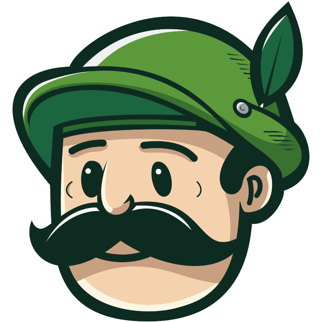 Majorm Mongodb Gui