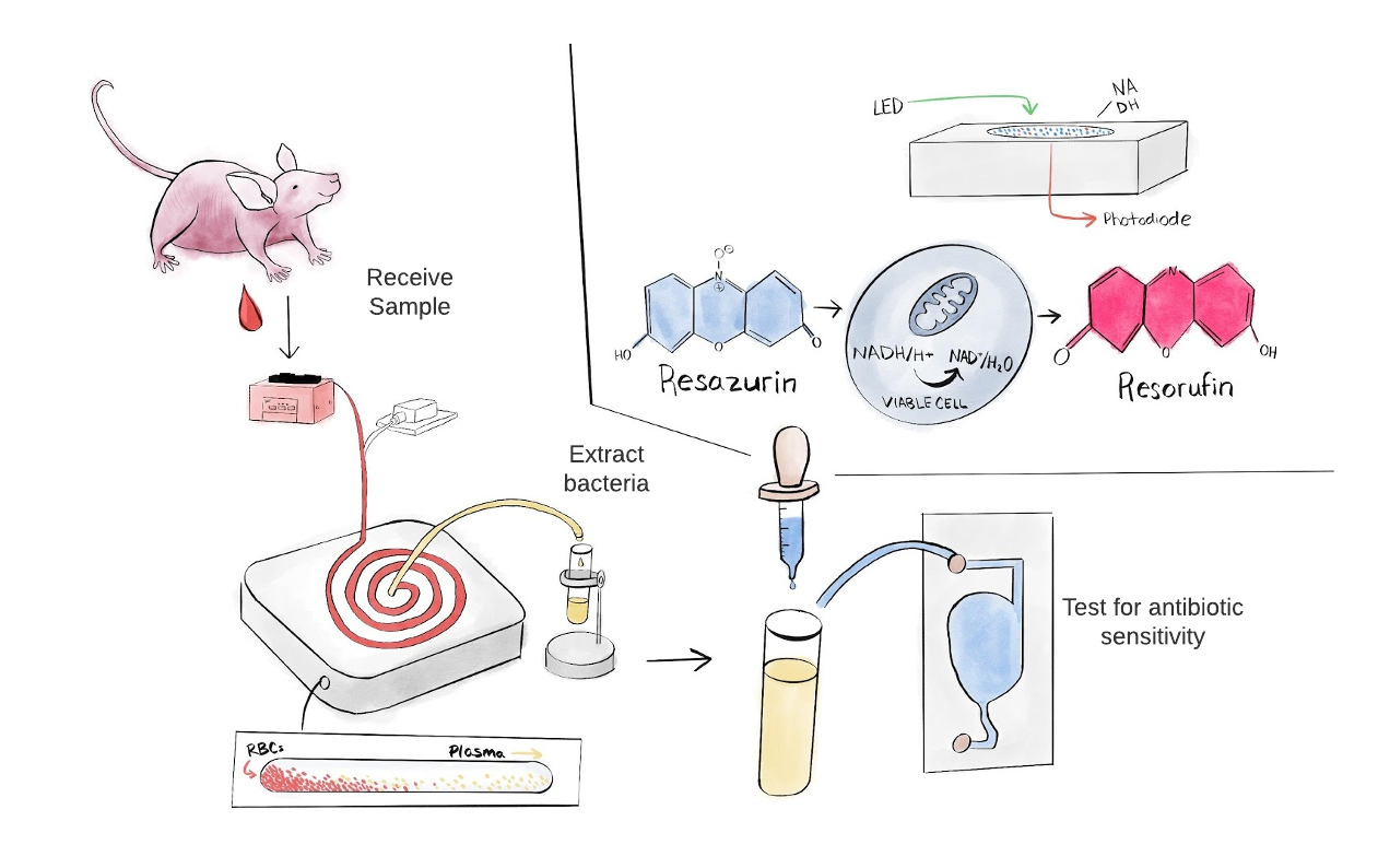 Eugris  gallery image