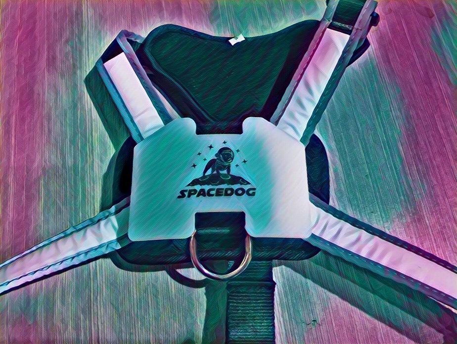 SpaceDog™ Harness gallery image