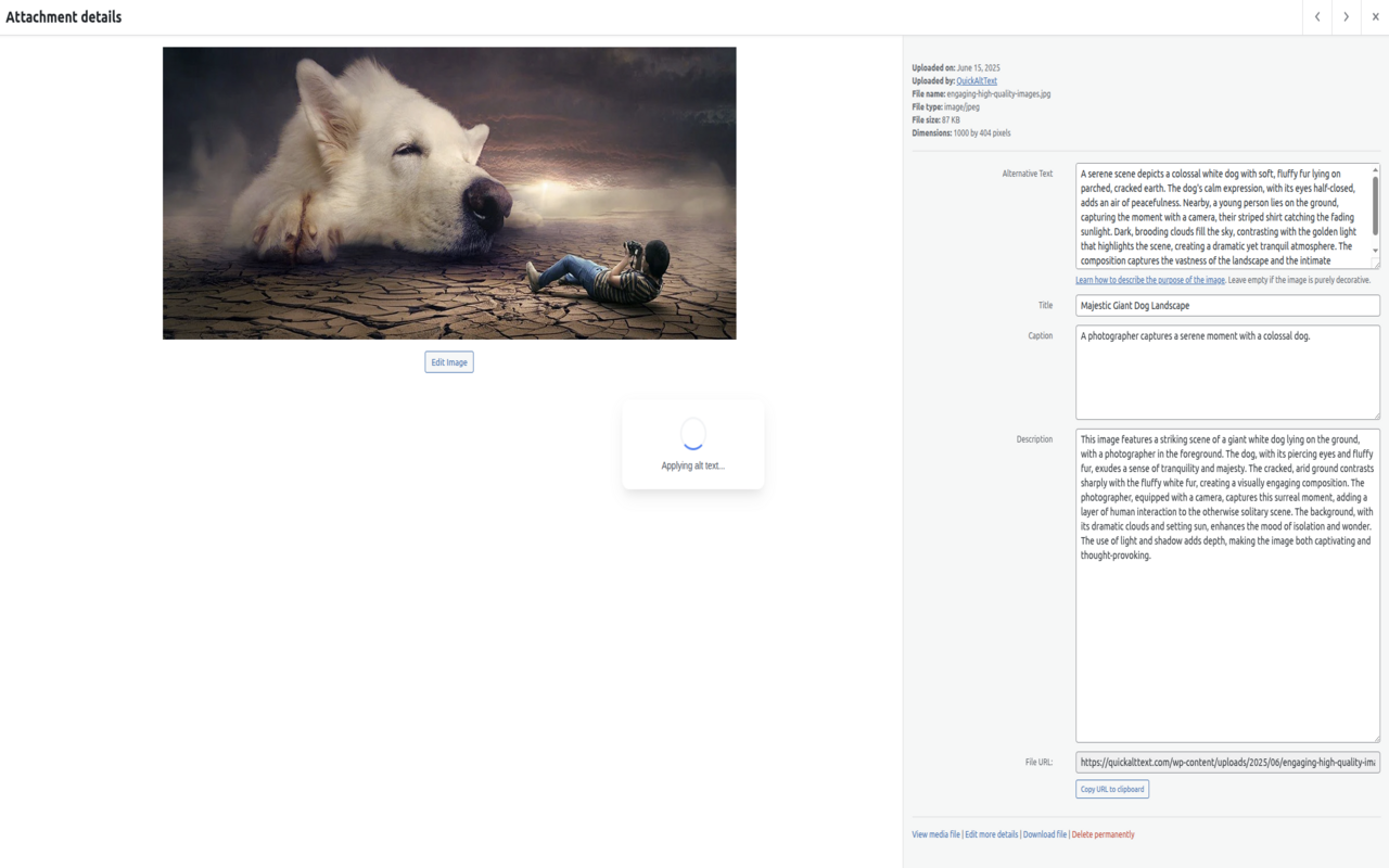 Quickalttext media 2