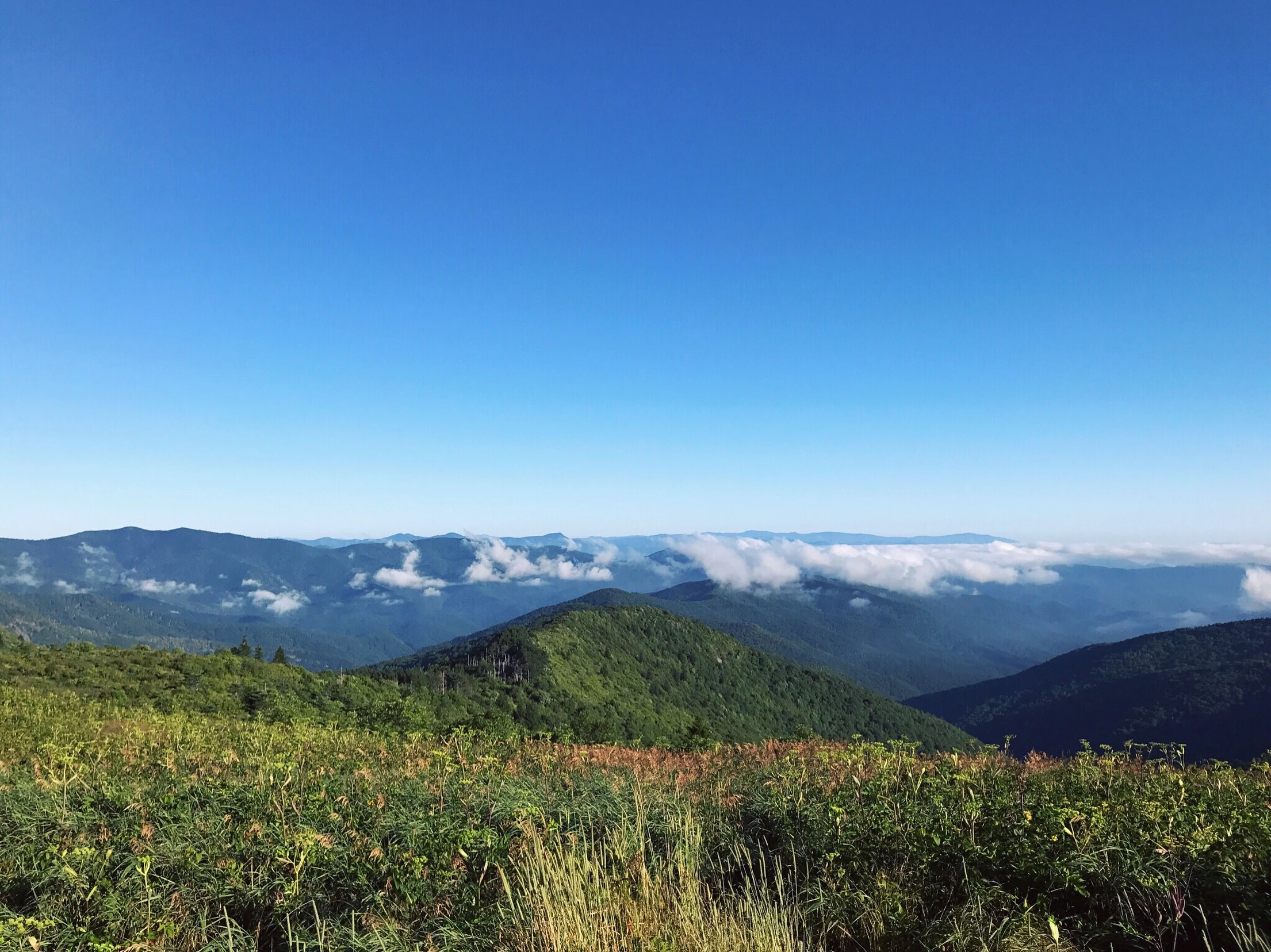 Peyton Hayslette cover