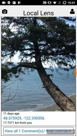 Local lens gallery image