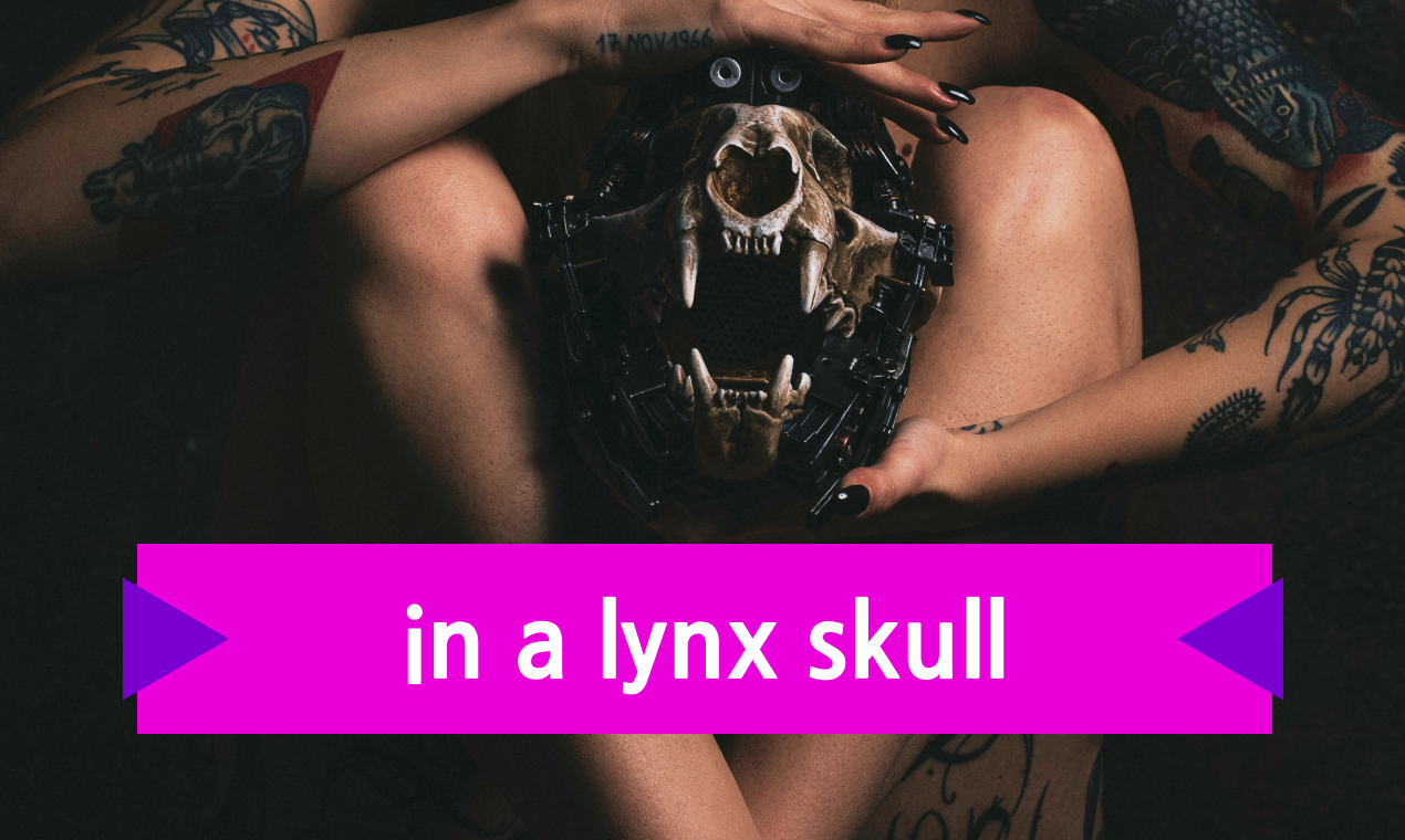 Kranio gallery image