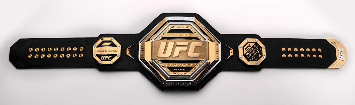 Борьба -чемпионаты - WWE, WWESHOP, Ремни, Чемпионские ремни, WWE, WBC, UFC, AEW, WCW, медиа 16