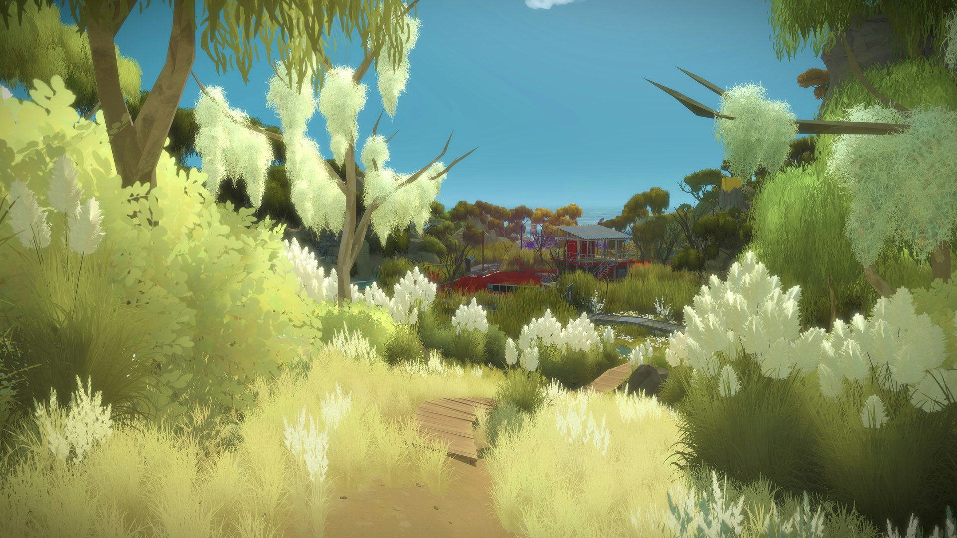 The Witness Image