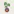The Houseplant Atlas