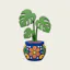 The Houseplant Atlas