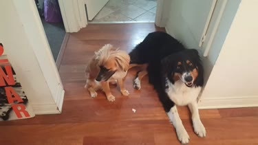 Leap Second 2015 gallery image