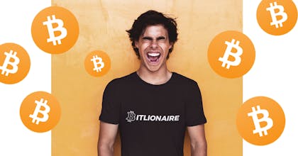 Bitlionaire Sweatshirt & Tee gallery image