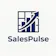 SalesPulse 2.0