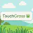 TouchGrass