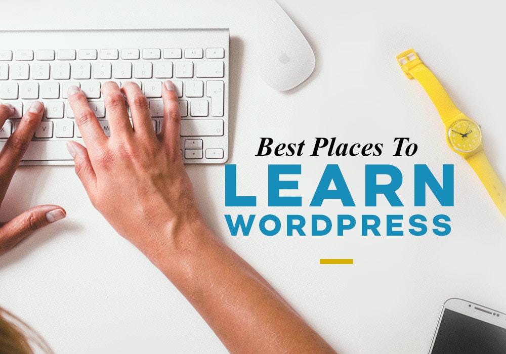 WordPress for beginners