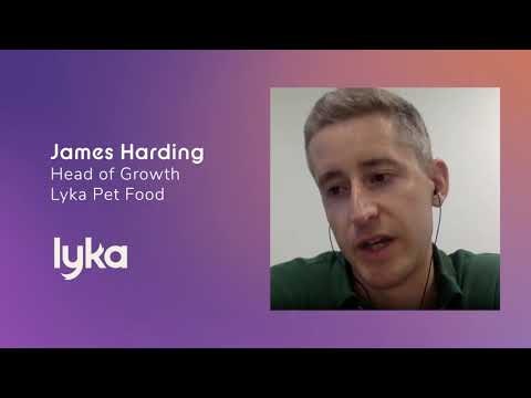 Pencil gallery image