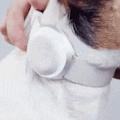 Mishiko UK