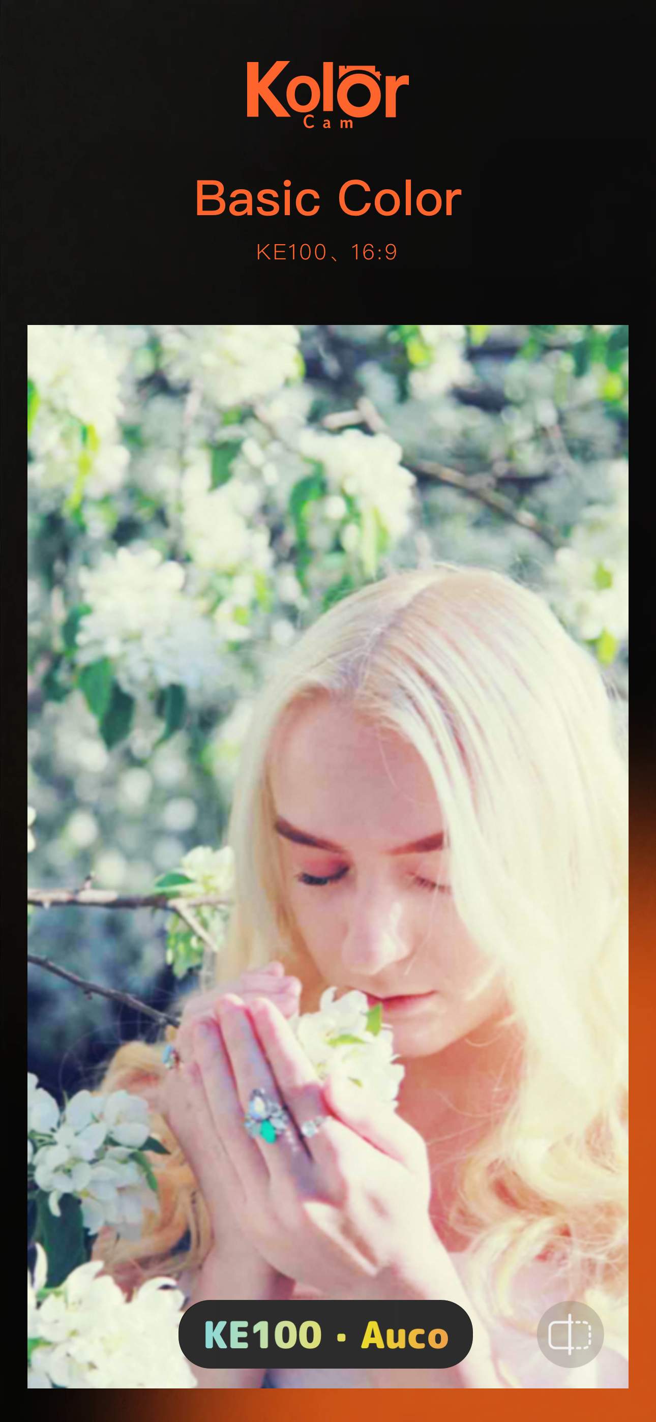 Kolorcam gallery image