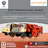 Mobile Brick Making Machine
