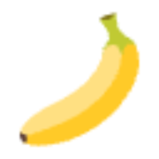 Nano Image logo