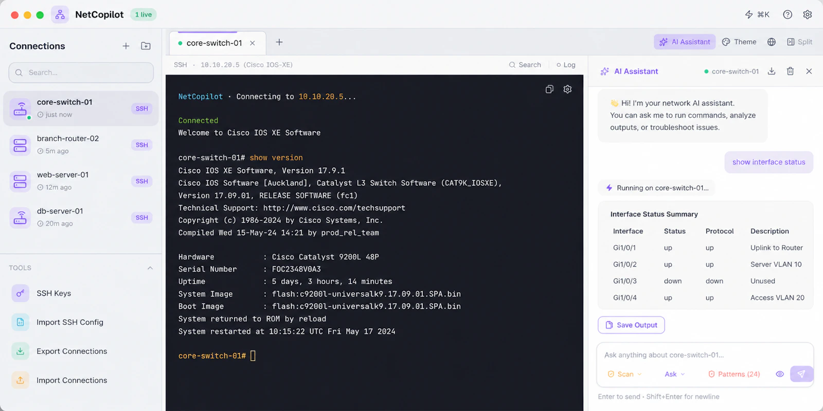 NetCopilot screenshot 1