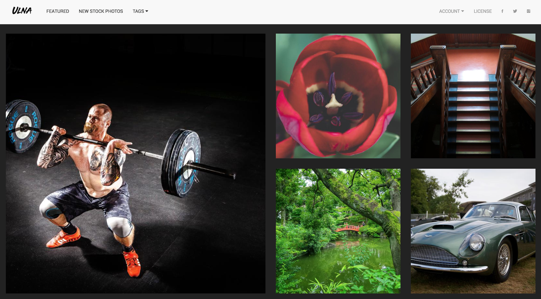 Ulna Photos gallery image