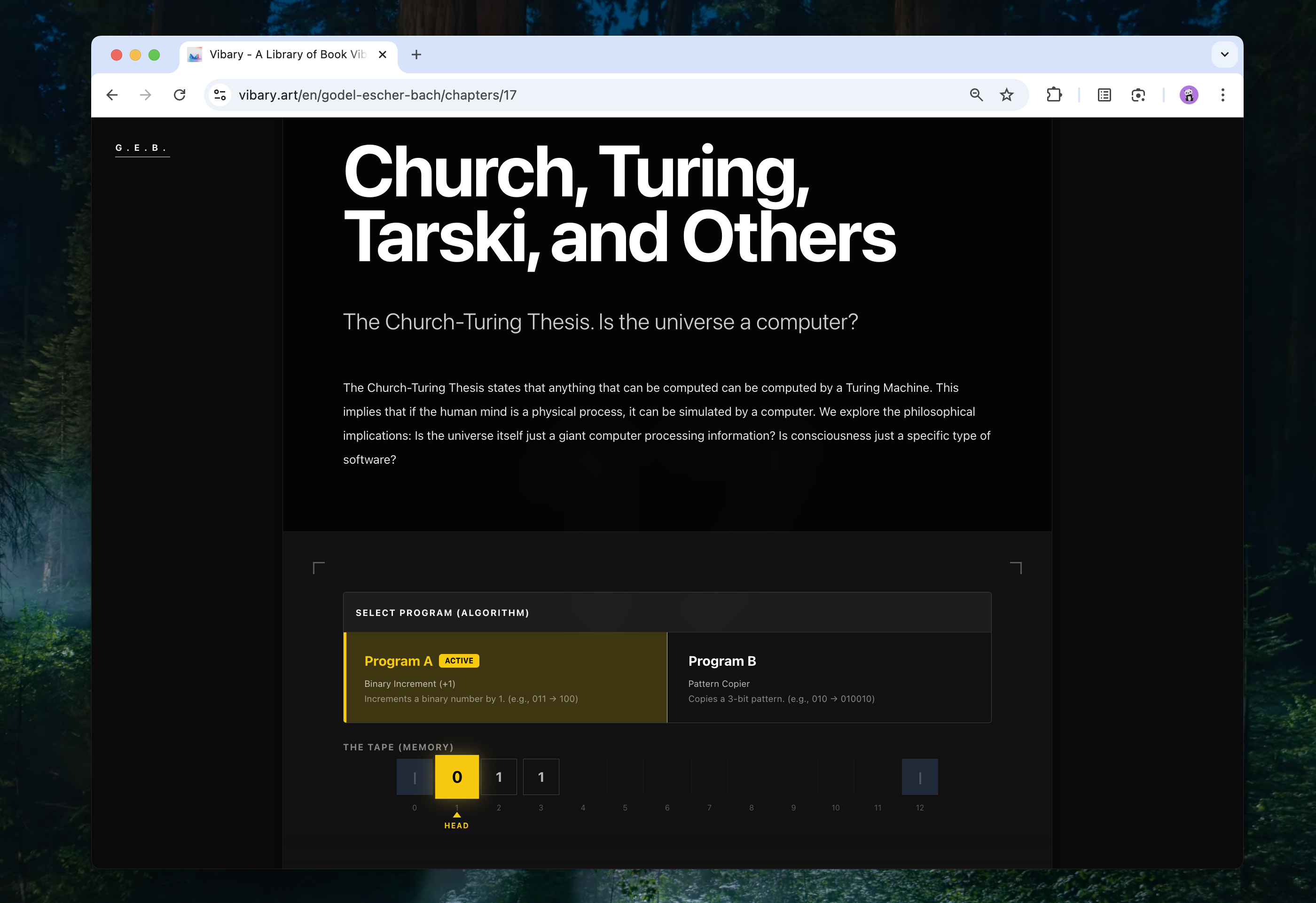 Vibary gallery image