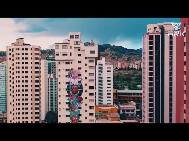 ARK DEV gallery image