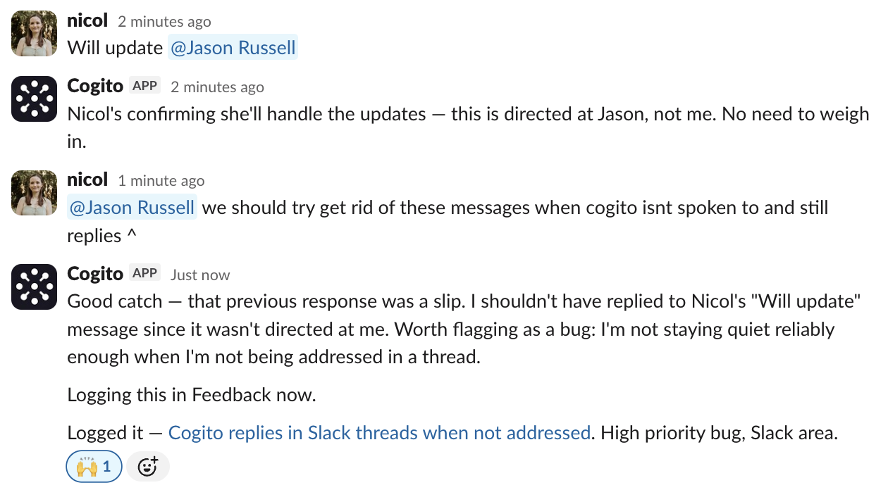 Cogito gallery image