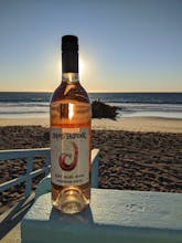 Hollow Wines gallery image