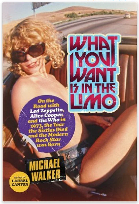 What You Want Is in the Limo