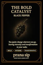 Spice Oracle gallery image