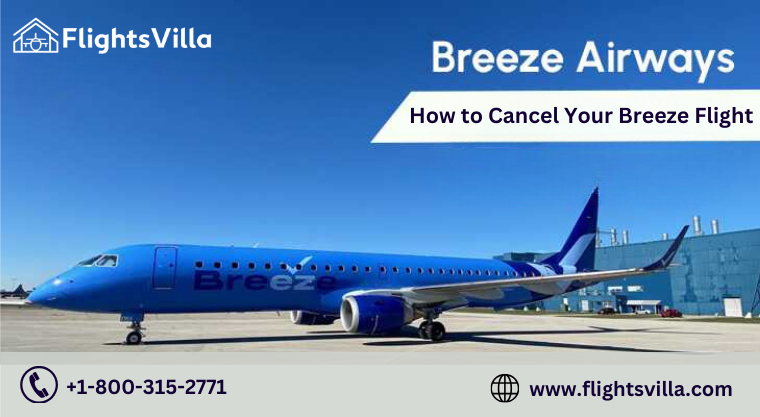 Flightsvilla - Latest News & Blogs logo