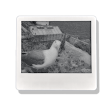 PictoPocket: Fun E-Ink Photo Frame gallery image