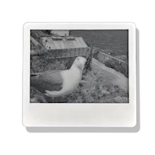 PictoPocket: Fun E-Ink Photo Frame gallery image