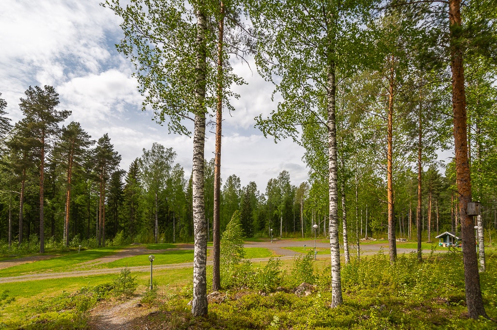 Camping gallery image