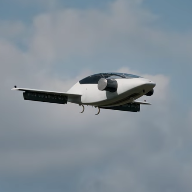 Lilium gallery image