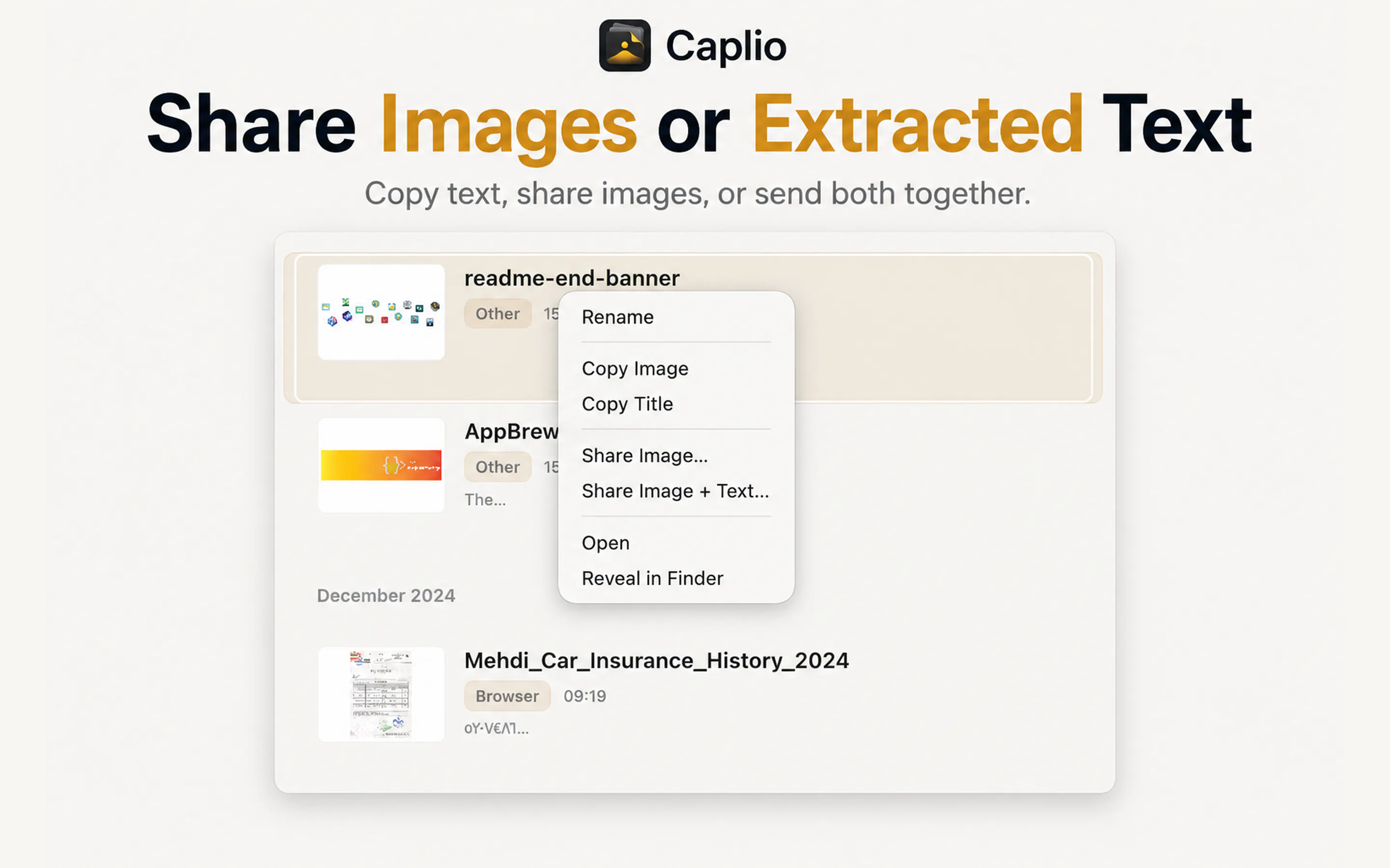 Caplio screenshot 2