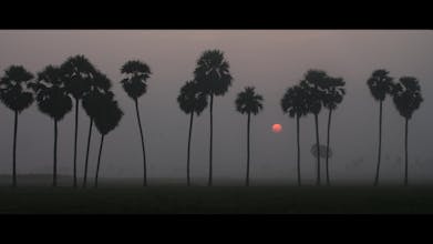 A Love Letter to CAMP gallery image