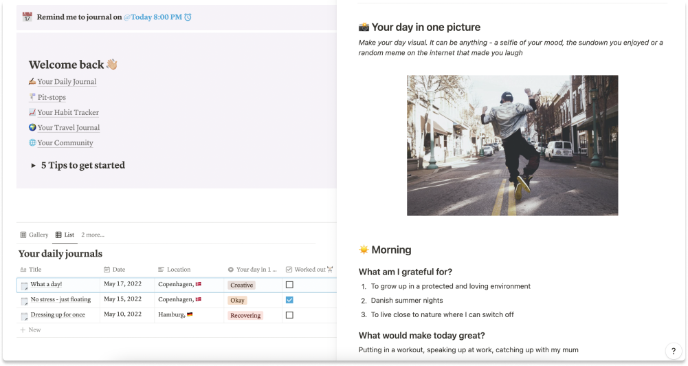 Daily Journal and Habit Tracker - Utilizzo dell'idea per il diario giornaliero e il monitoraggio delle abitudini media 2