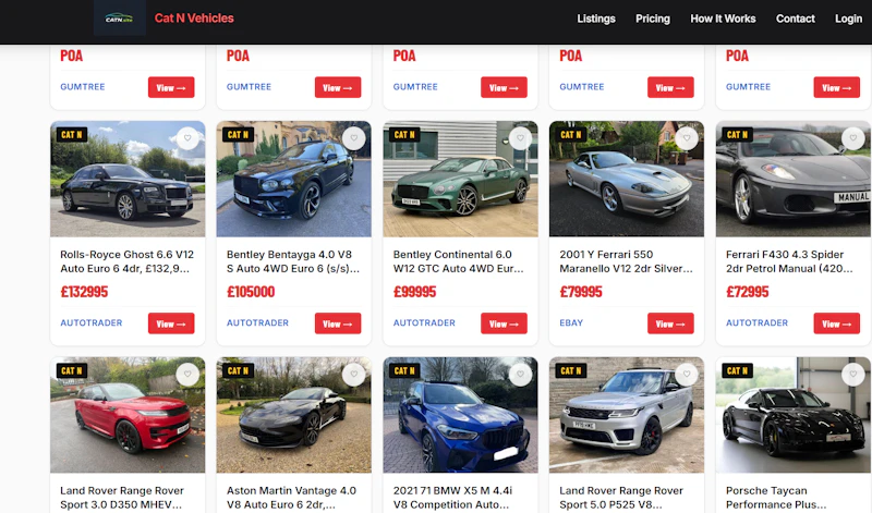 catn.site screenshot 2