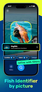 SeaBook gallery image