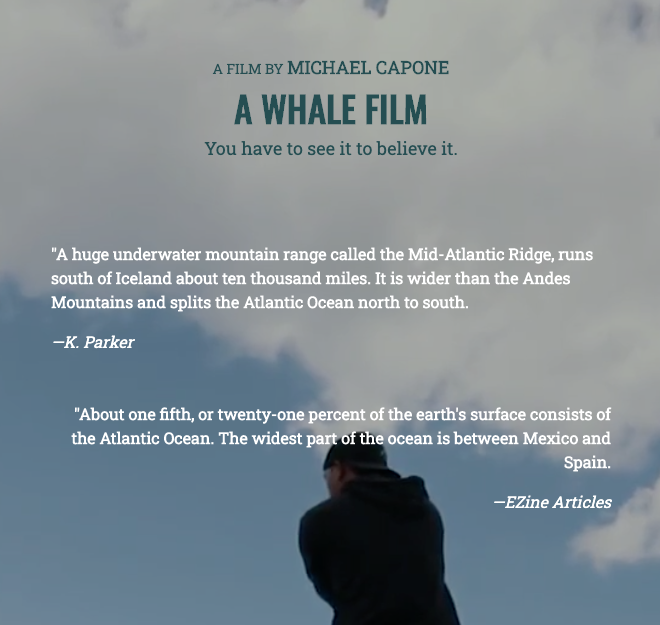 Flickity gallery image