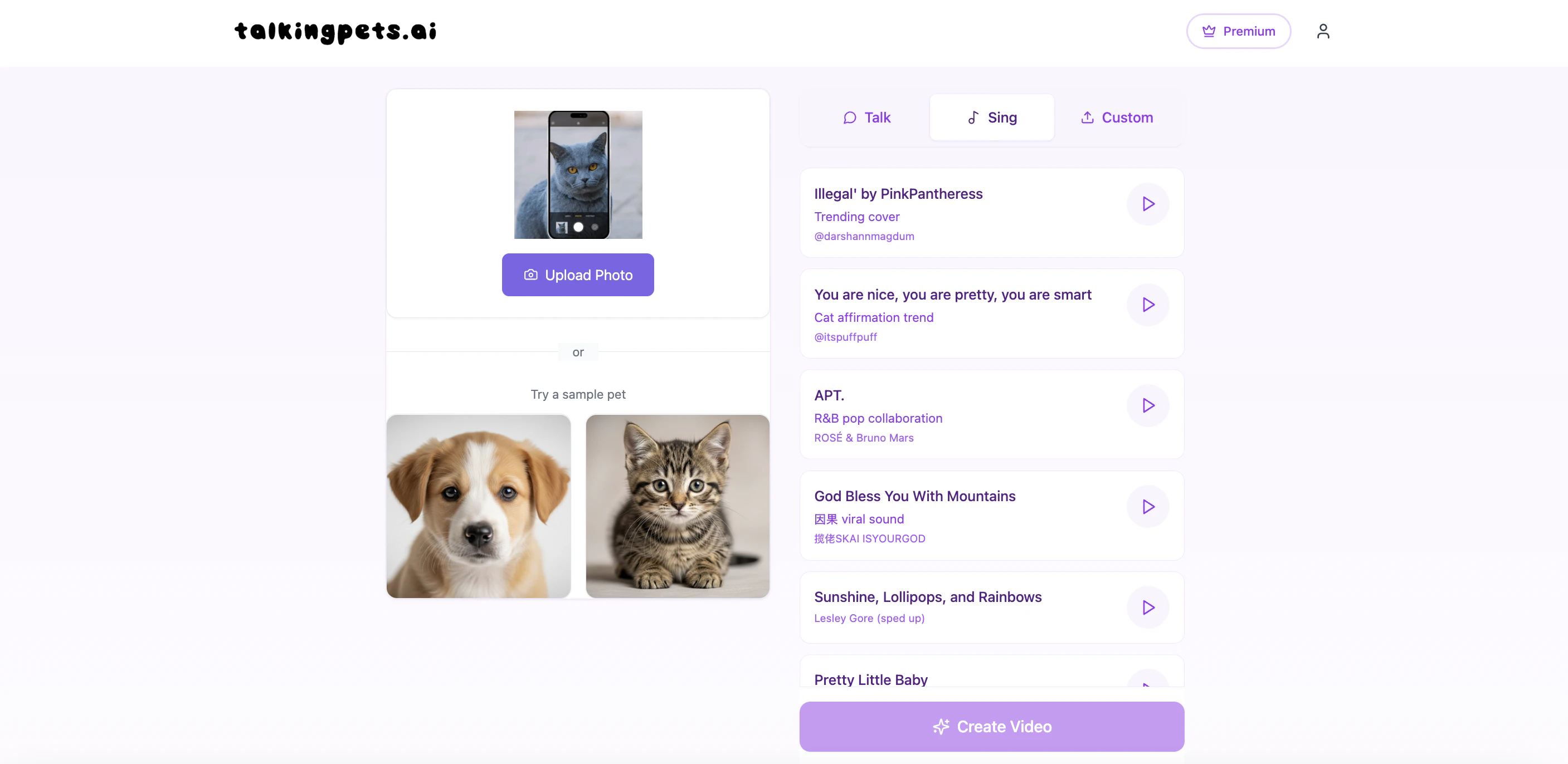 Talkingpets — product overview and interface preview