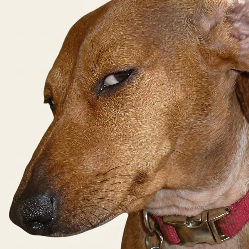 Side Eye