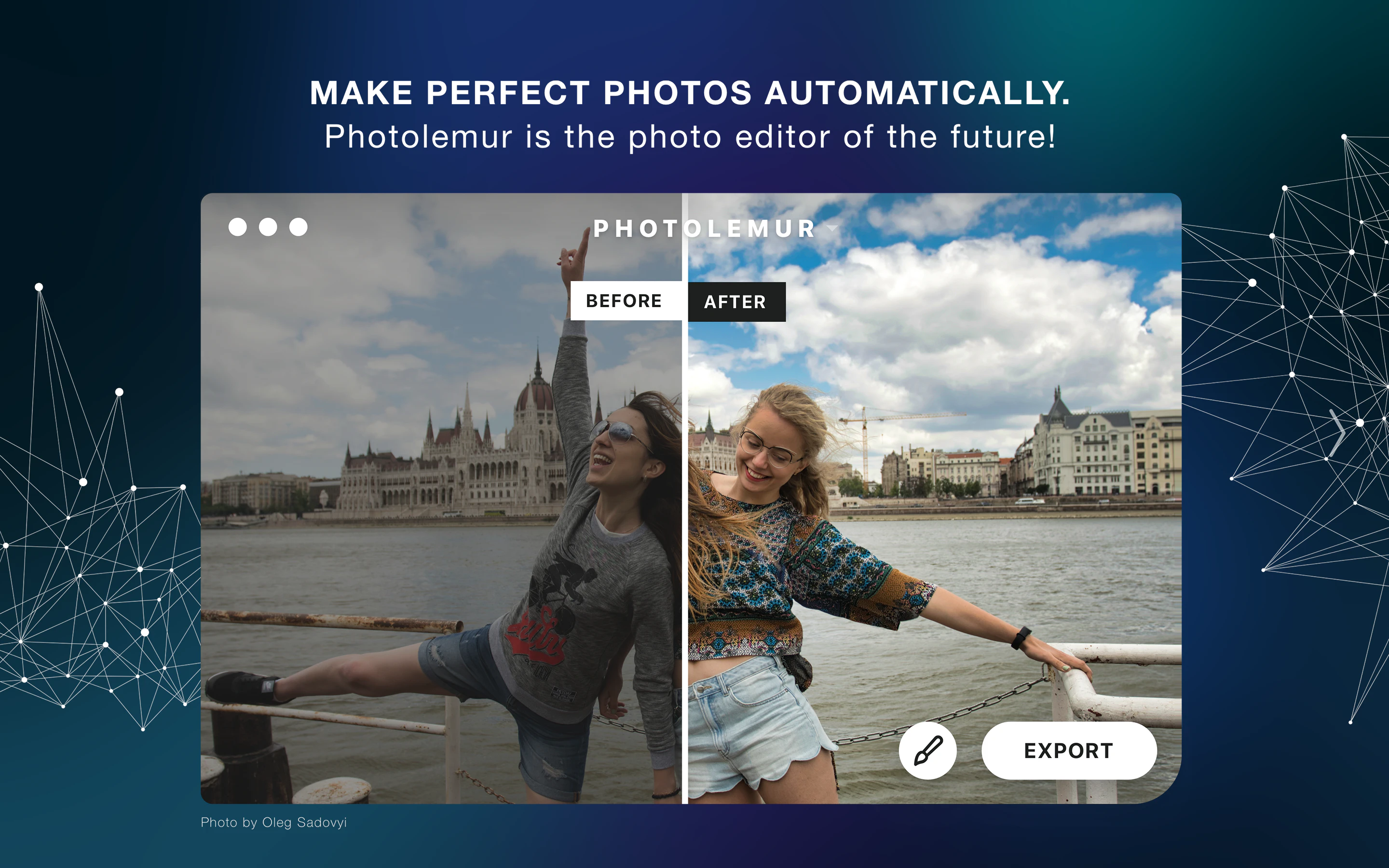 Photolemur Image
