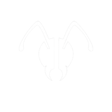 AnToAnt gallery image