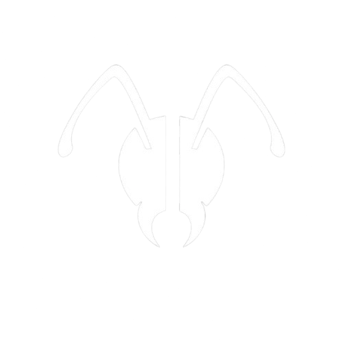 AnToAnt - Main product screenshot demonstrating key features and user interface