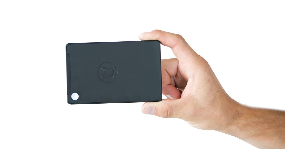 Kangaroo gallery image