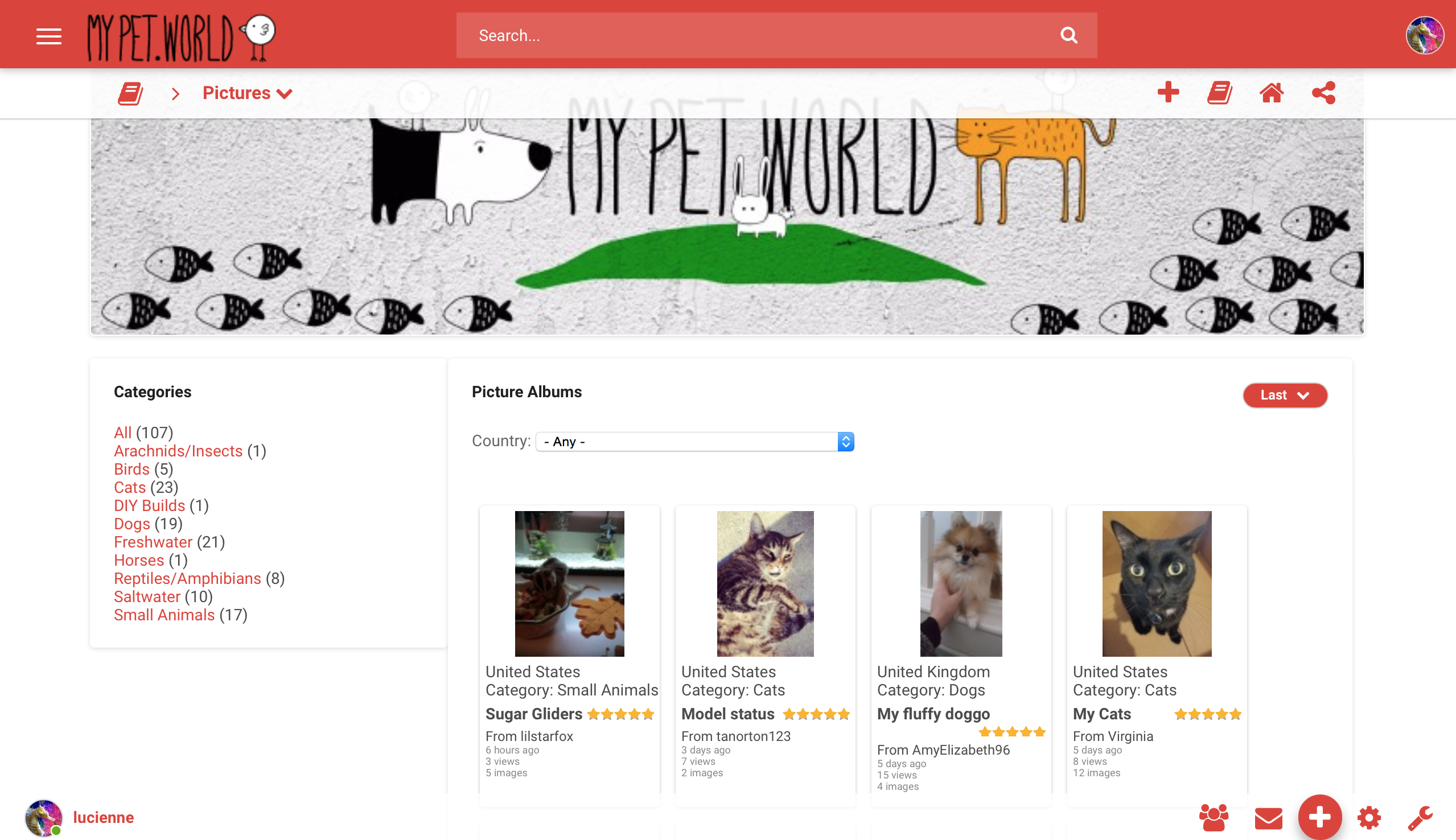 My Pet World gallery image