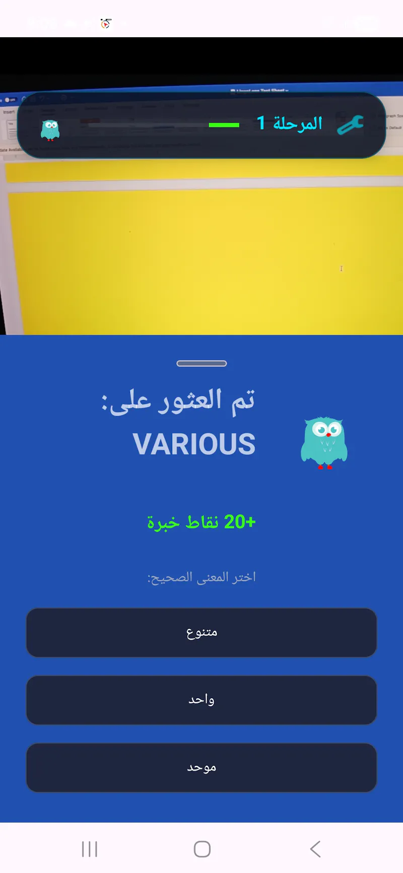 LingoLens screenshot 12